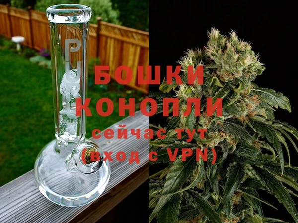 ALPHA PVP Беломорск