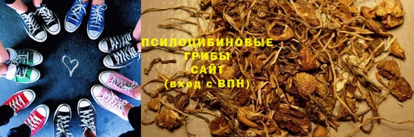 сатива Великий Новгород