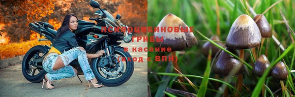 ALPHA PVP Беломорск