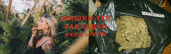 стаф Белокуриха