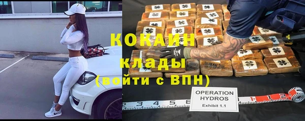 сатива Липки